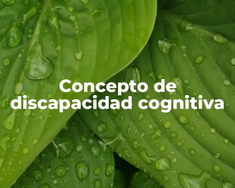 Concepto de discapacidad cognitiva