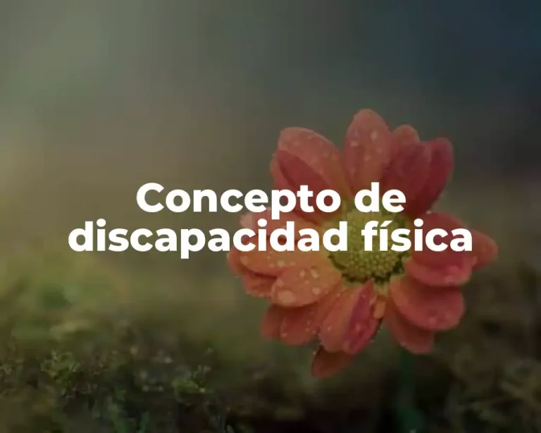 Concepto de discapacidad física