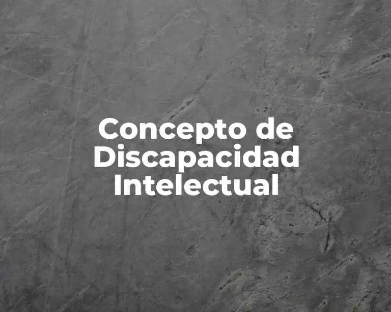 Concepto de Discapacidad Intelectual