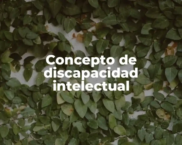 Concepto de discapacidad intelectual