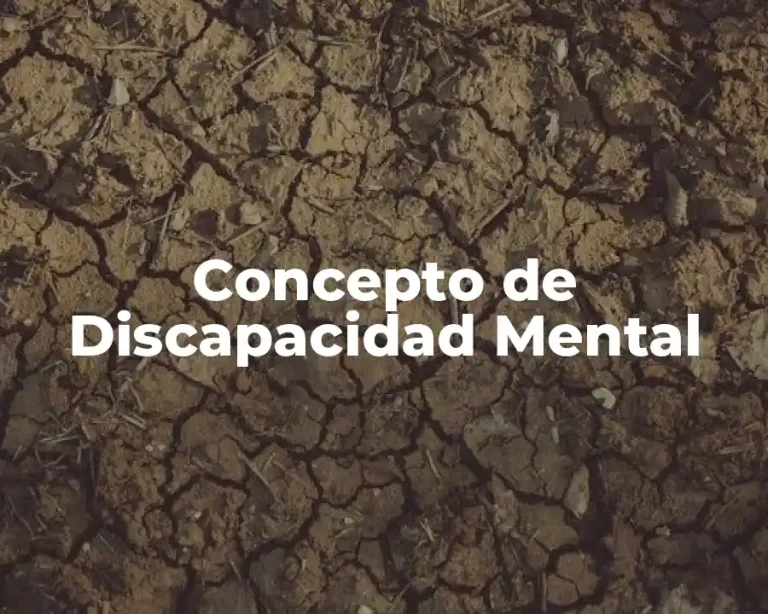 Concepto de Discapacidad Mental