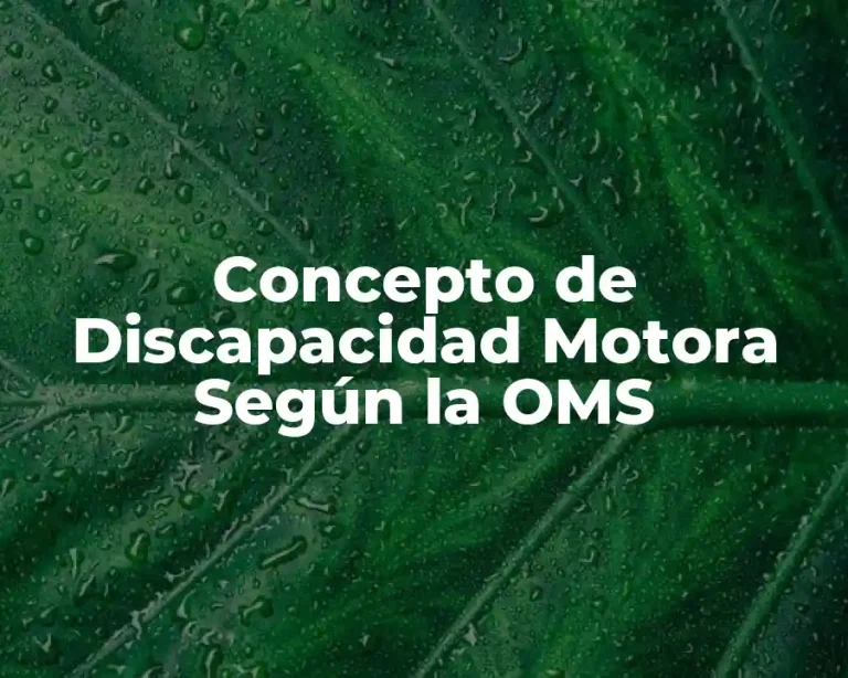 Concepto de Discapacidad Motora Según la OMS