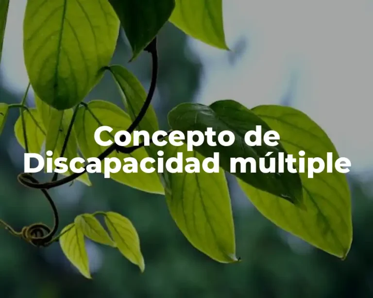 Concepto de Discapacidad múltiple