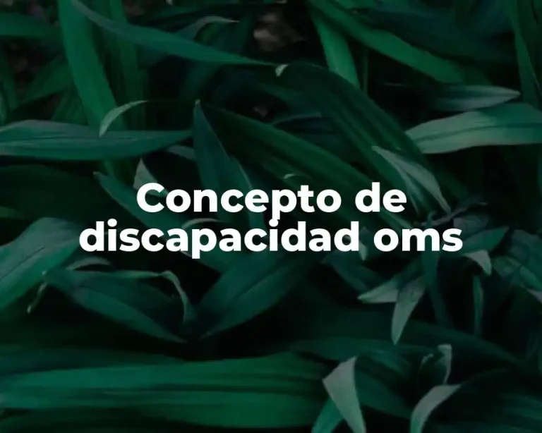 Concepto de discapacidad oms