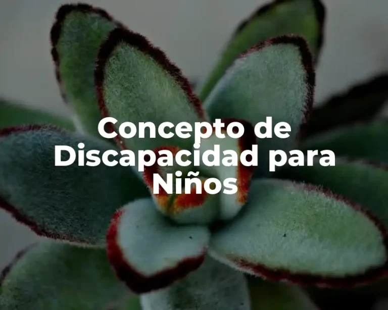 Concepto de Discapacidad para Niños