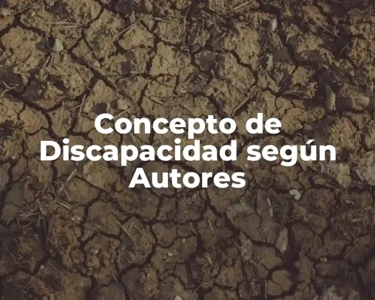 Concepto de Discapacidad según Autores