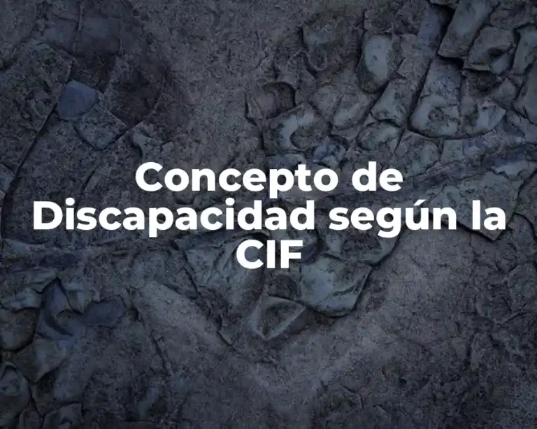 Concepto de Discapacidad según la CIF