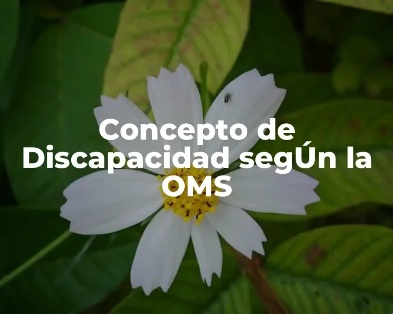 Concepto de Discapacidad segÚn la OMS