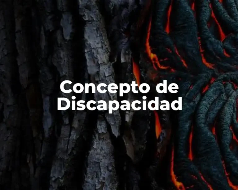 Concepto de Discapacidad