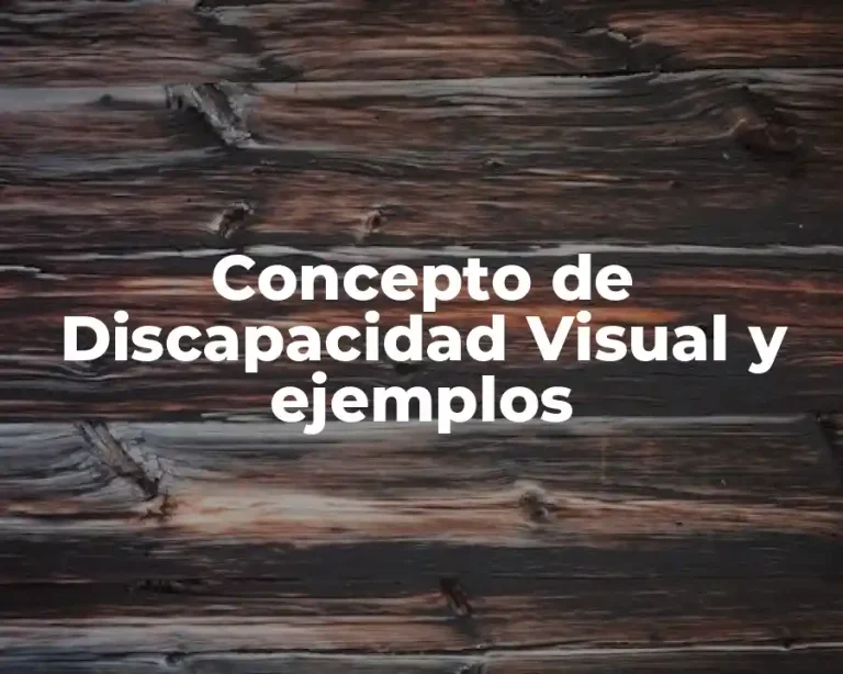 Concepto de Discapacidad Visual y ejemplos