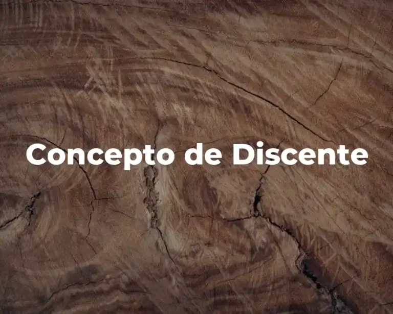 Concepto de Discente
