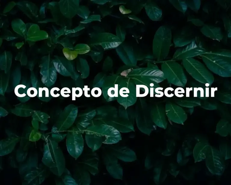 Concepto de Discernir