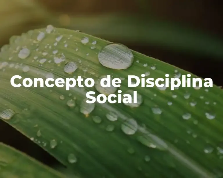 Concepto de Disciplina Social