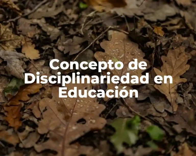 Concepto de Disciplinariedad en Educación
