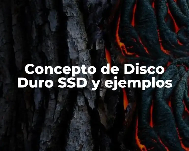 Concepto de Disco Duro SSD y ejemplos