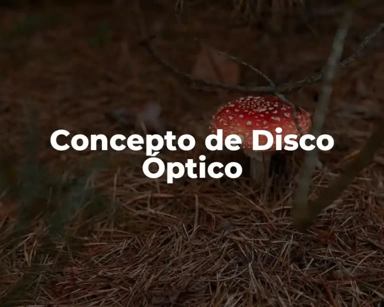 Concepto de Disco Óptico