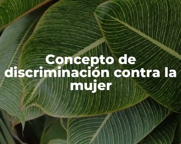 Concepto de discriminación contra la mujer