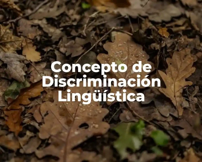 Concepto de Discriminación Lingüística