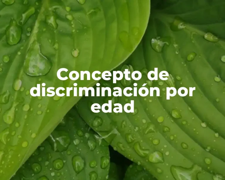 Concepto de discriminación por edad