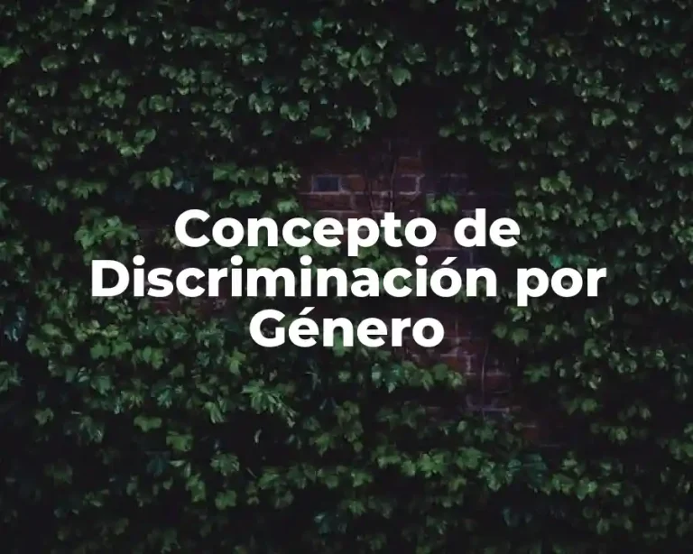Concepto de Discriminación por Género