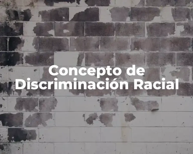 Concepto de Discriminación Racial
