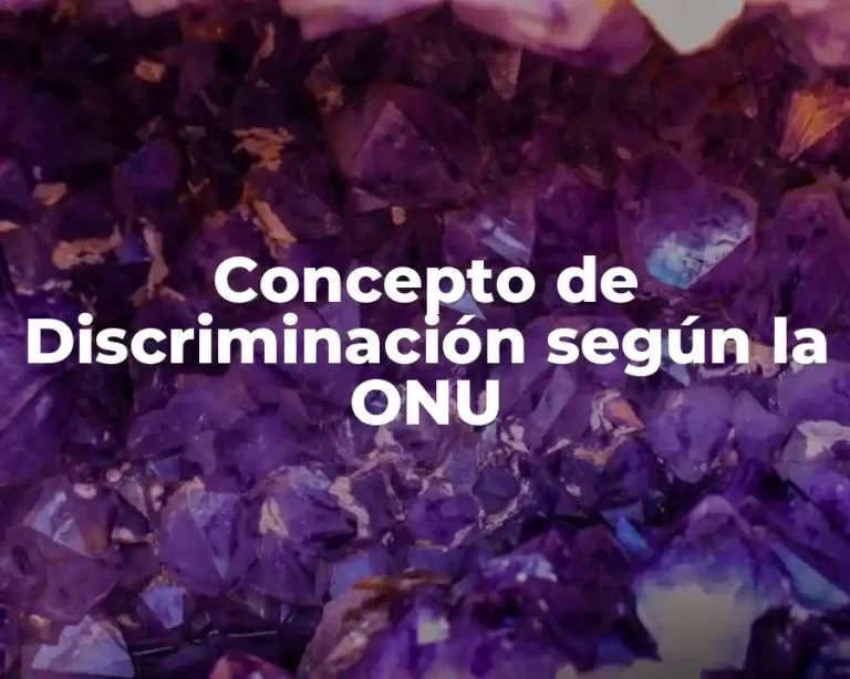 Concepto de Discriminación según la ONU