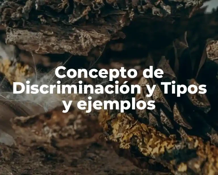 Concepto de Discriminación y Tipos y ejemplos