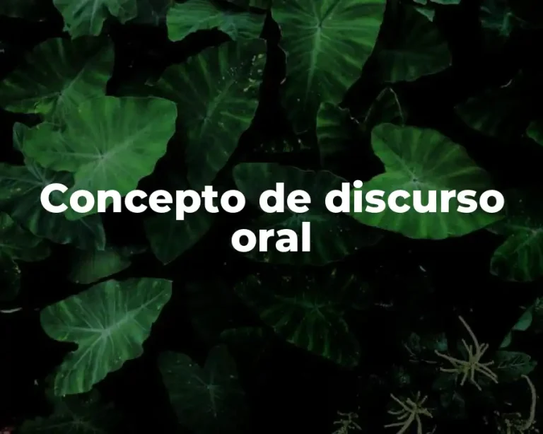 Concepto de discurso oral