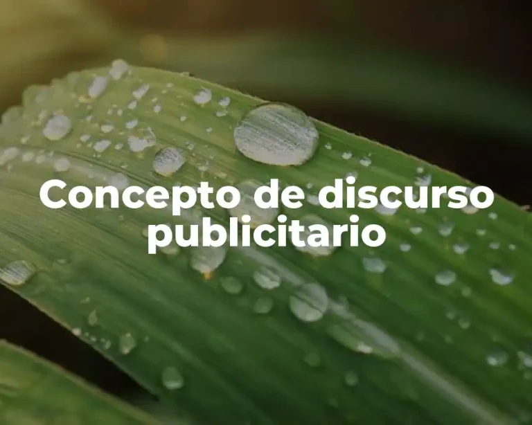 Concepto de discurso publicitario