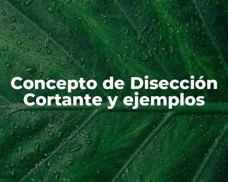 Concepto de Disección Cortante y ejemplos