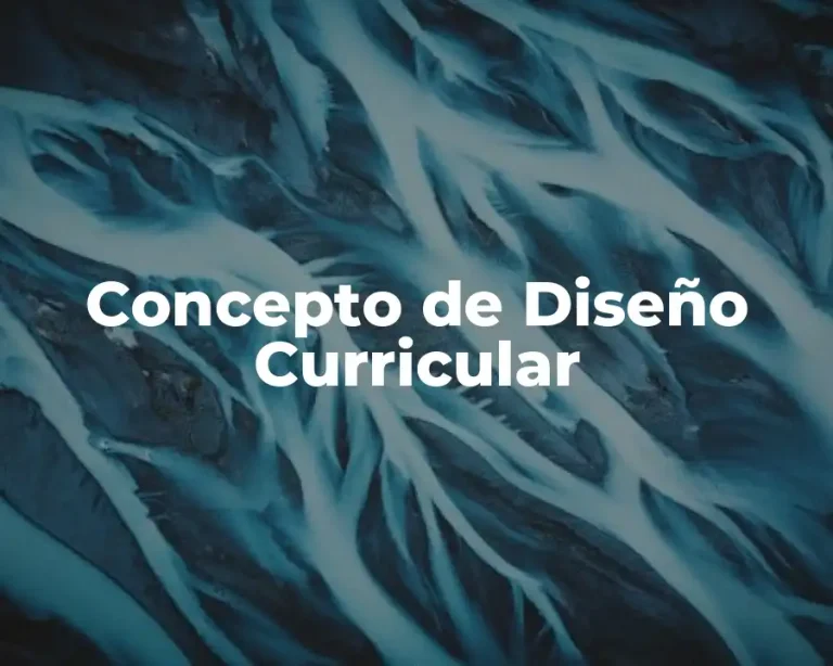 Concepto de Diseño Curricular