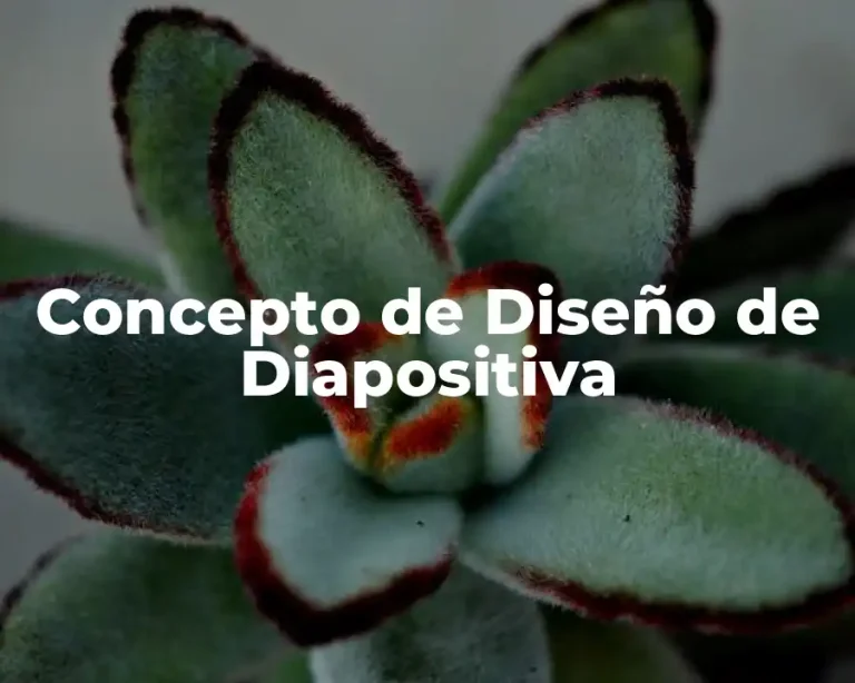Concepto de Diseño de Diapositiva