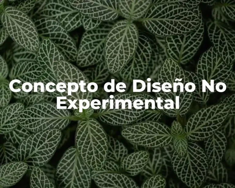 Concepto de Diseño No Experimental