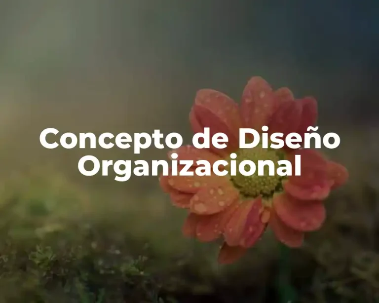 Concepto de Diseño Organizacional