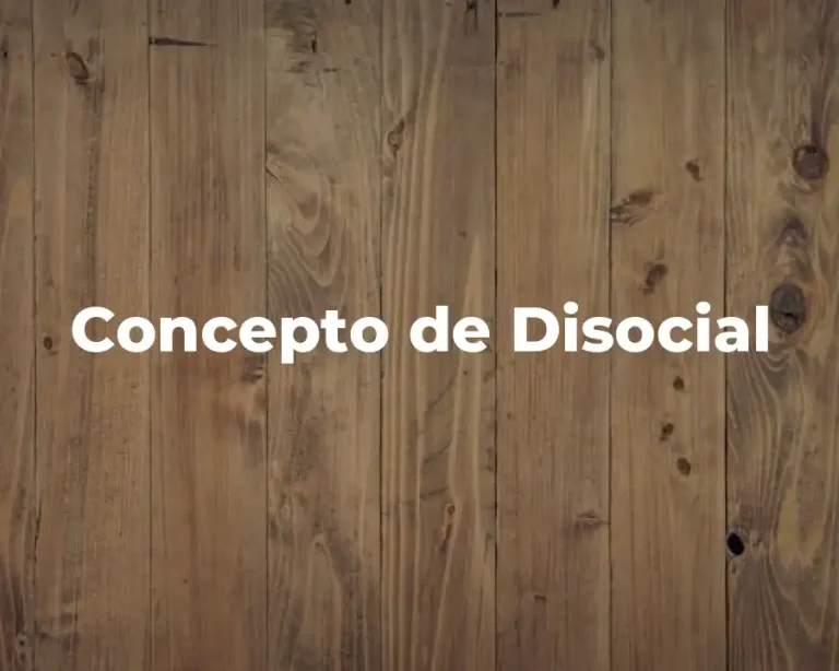 Concepto de Disocial
