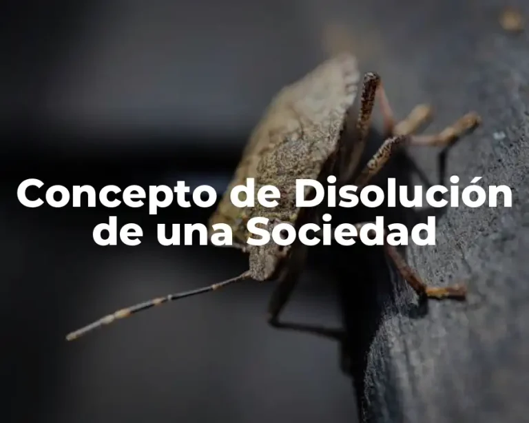 Concepto de Disolución de una Sociedad