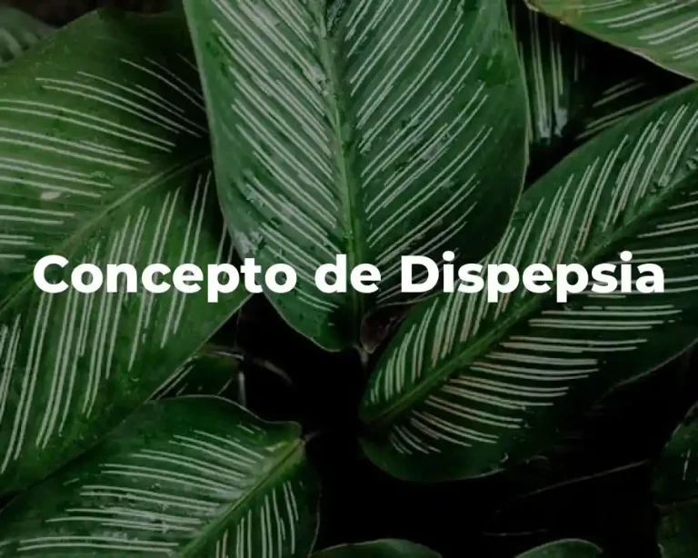 Concepto de Dispepsia