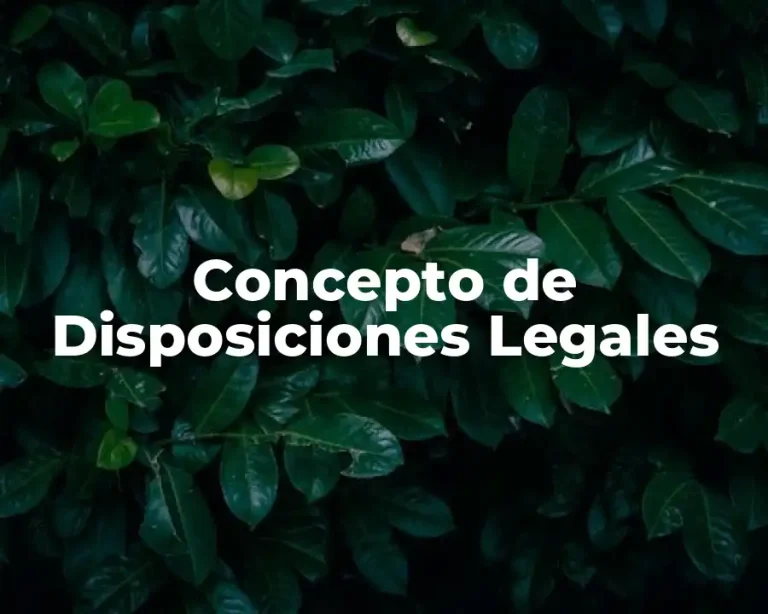 Concepto de Disposiciones Legales