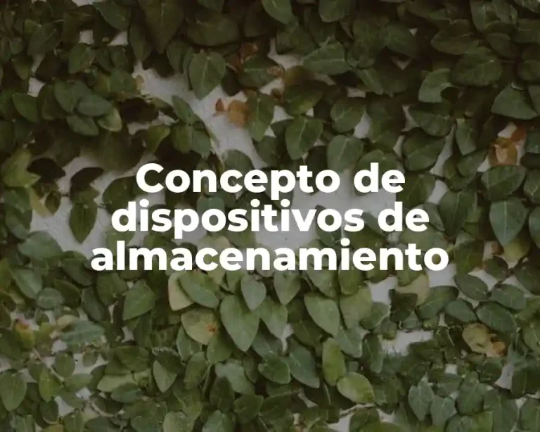 Concepto de dispositivos de almacenamiento
