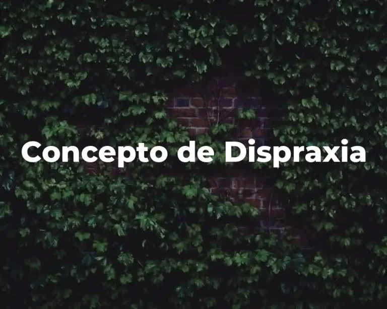 Concepto de Dispraxia