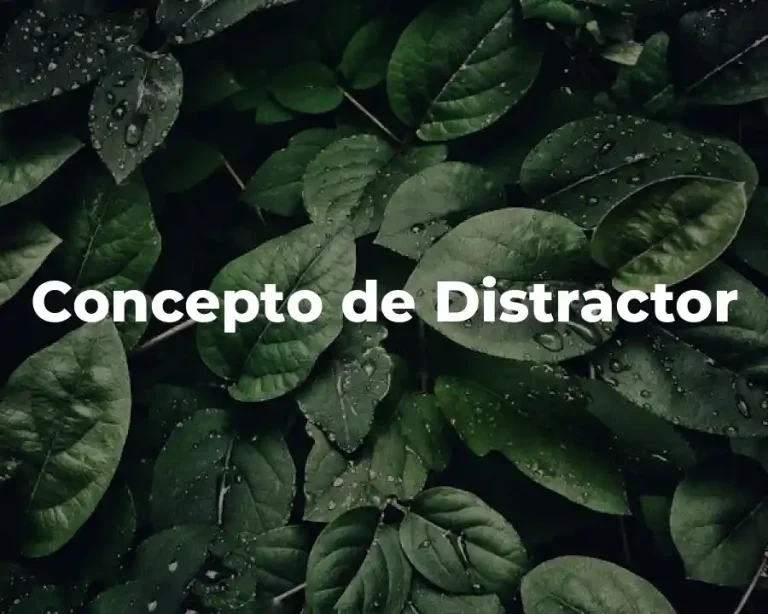 Concepto de Distractor