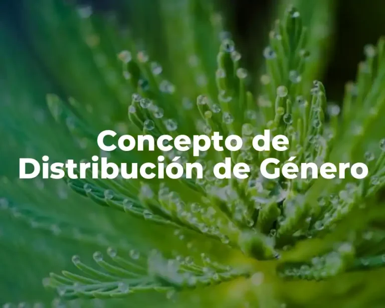 Concepto de Distribución de Género