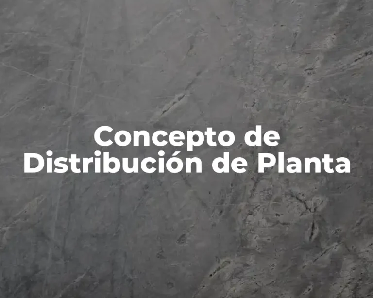 Concepto de Distribución de Planta