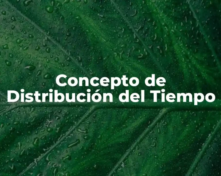 Concepto de Distribución del Tiempo