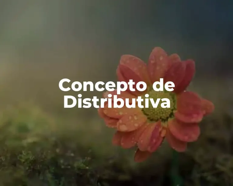 Concepto de Distributiva