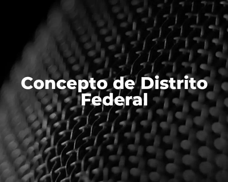 Concepto de Distrito Federal