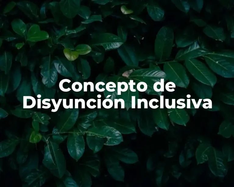 Concepto de Disyunción Inclusiva