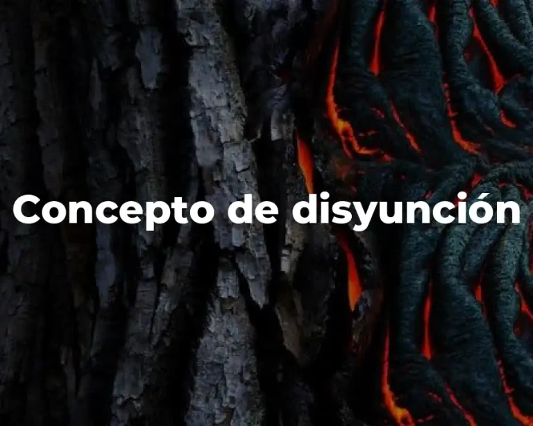 Concepto de disyunción