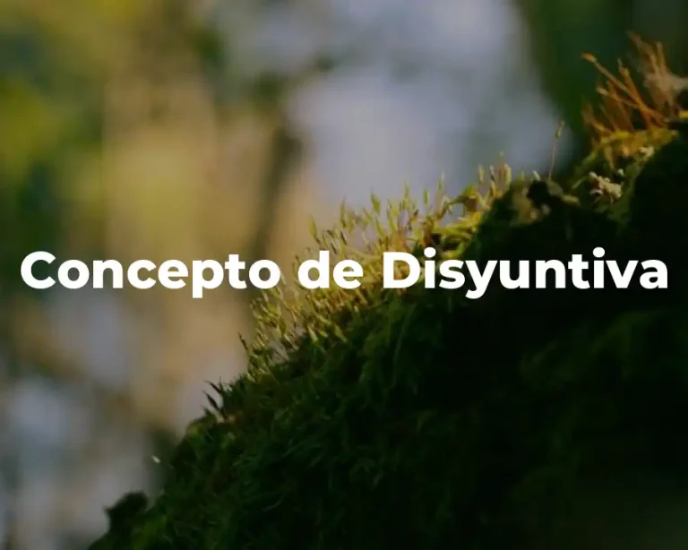 Concepto de Disyuntiva