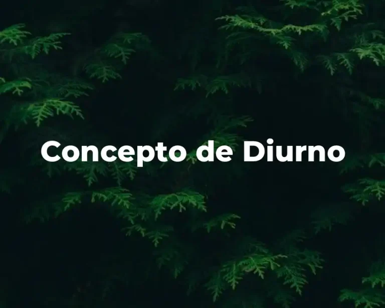 Concepto de Diurno